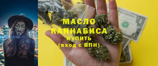 Альфа ПВП Бородино