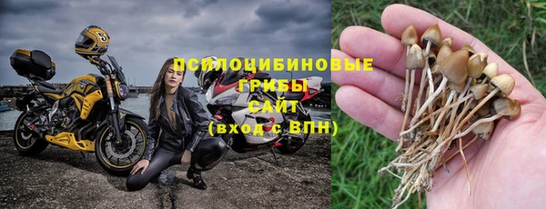 Альфа ПВП Бородино