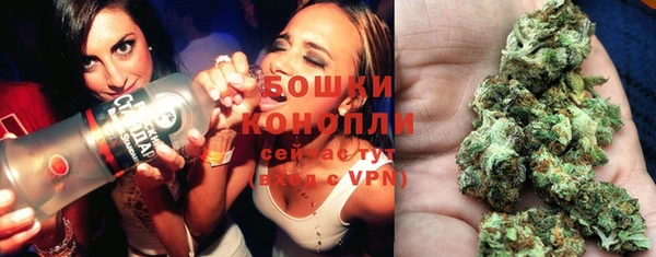 Альфа ПВП Бородино