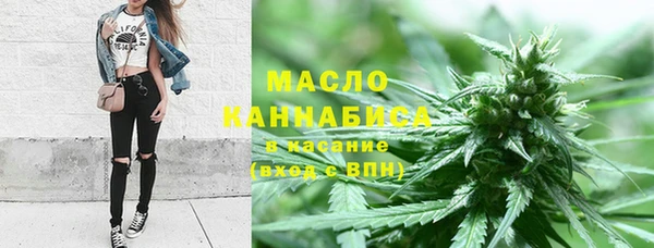 Альфа ПВП Бородино
