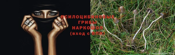 бутират Богородицк