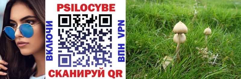 МЕГА маркетплейс  Вязники  Галлюциногенные грибы Psilocybine cubensis 