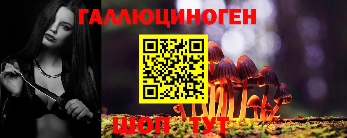 Псилоцибиновые грибы Cubensis Вязники