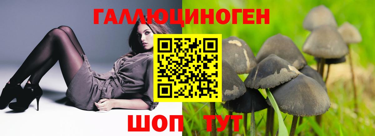 Вязники  купить наркотики цена  Вход с VPN  Галлюциногенные грибы мицелий 